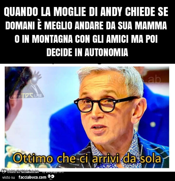 Quando la moglie di andy chiede se domani è meglio andare da sua mamma o in montagna con gli amici ma poi decide in autonomia