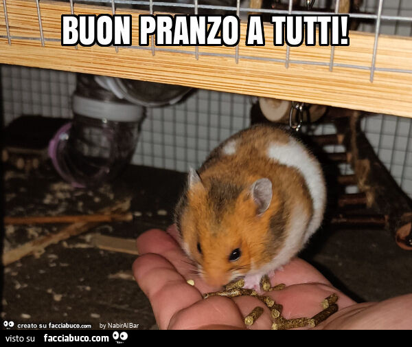 Buon pranzo a tutti
