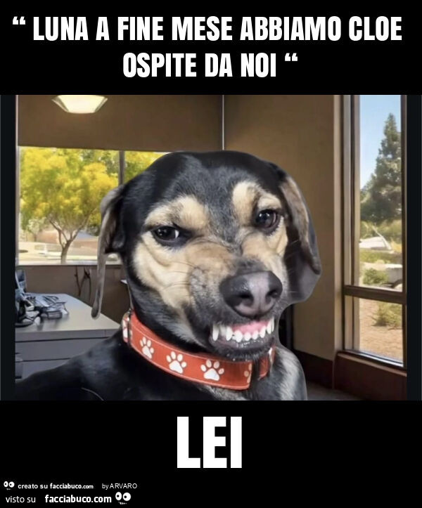 “ luna a fine mese abbiamo cloe ospite da noi “ lei