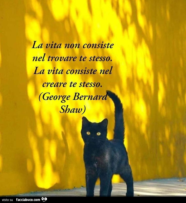 La vita non consiste nel trovare te stesso. La vita consiste nel creare te stesso. George Bernar Shaw