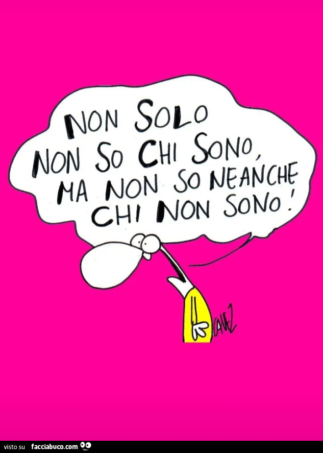 Non solo non so chi sono, ma non so neanche chi non sono
