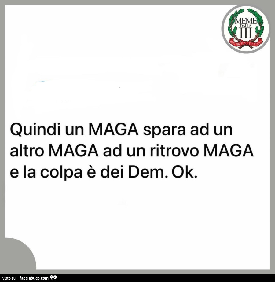 Quindi un maga spara ad un altro maga ad un ritrovo maga e la colpa è dei dem. Ok