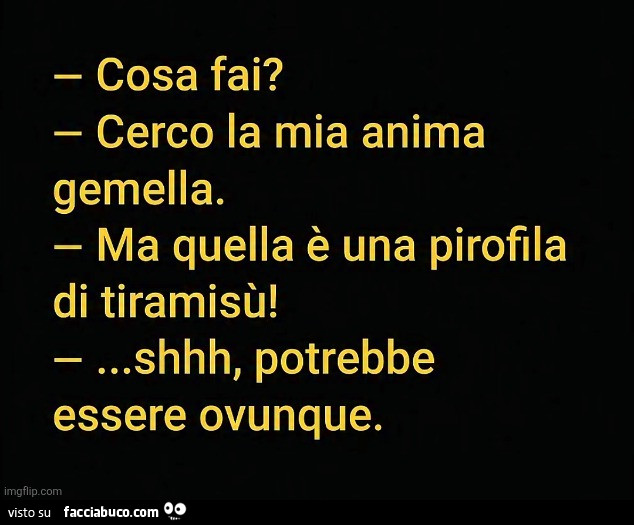 Cosa fai? Cerco la mia anima gemella. Ma quella è una pirofila di tiramisù! Shhh, potrebbe essere ovunque
