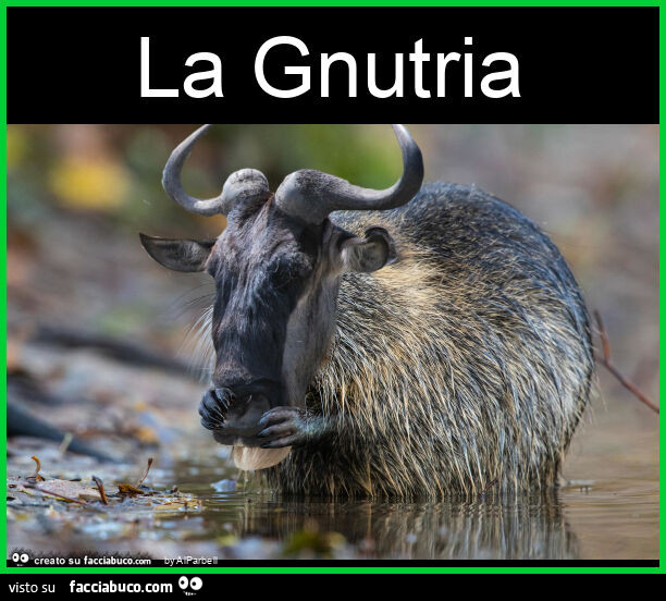 La gnutria