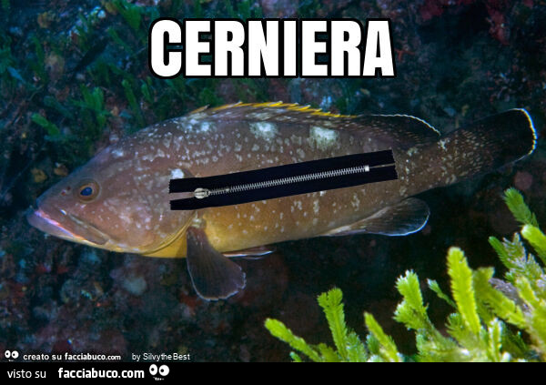 Cerniera