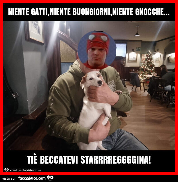 Niente gatti, niente buongiorni, niente gnocche&hellip; tiè beccatevi starrrreggggina