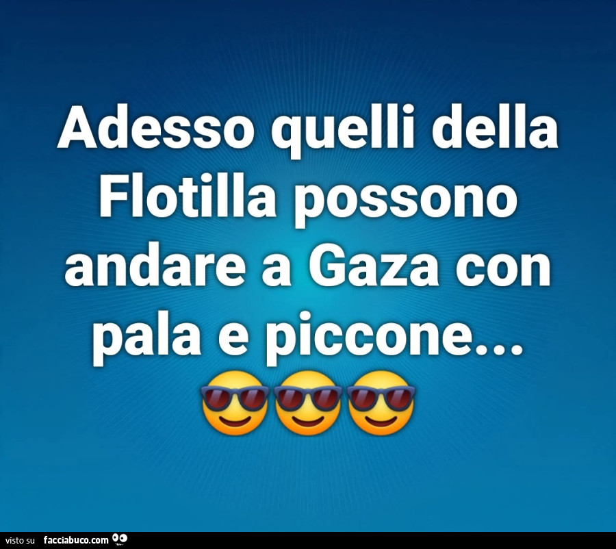 Adesso quelli della flotilla possono andare a gaza con pala e piccone…