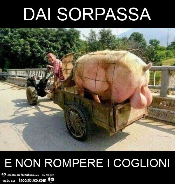 Dai sorpassa e non rompere i coglioni