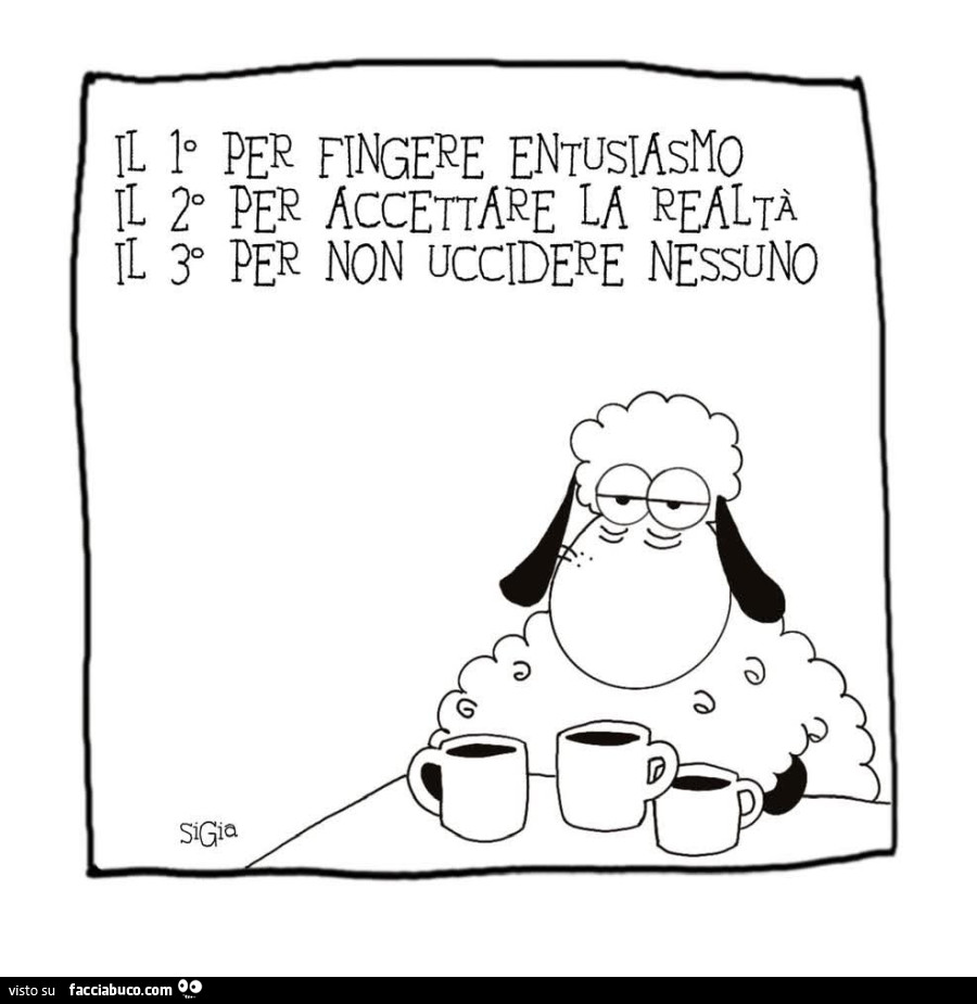 Il 1° per fingere entusiasmo. Il 2° per accettare la realtà. Il 3° per non uccidere nessuno