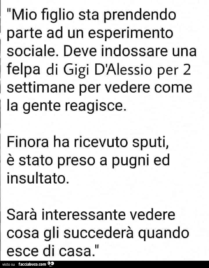 Mio figlio sta prendendo parte ad un esperimento sociale. Deve indossare una felpa di gigi d'alessio per 2 settimane per vedere come la gente reagisce. Finora ha ricevuto sputi, è stato preso a pugni ed insultato. Sarà interessante vedere cosa gli su