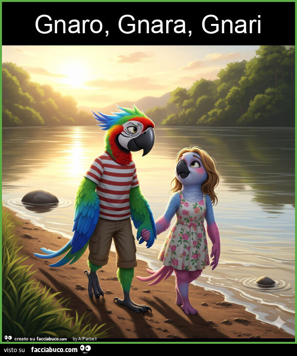 Gnaro, gnara, gnari
