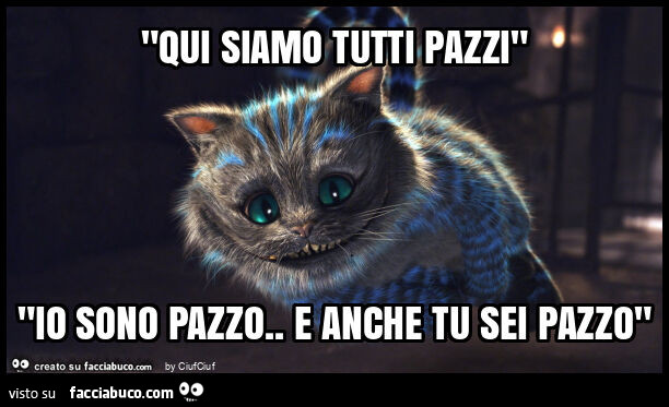 "qui siamo tutti pazzi" "io sono pazzo. E anche tu sei pazzo"