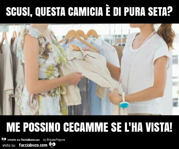 Scusi, questa camicia รจ di pura seta? Me possino cecamme se l'ha vista