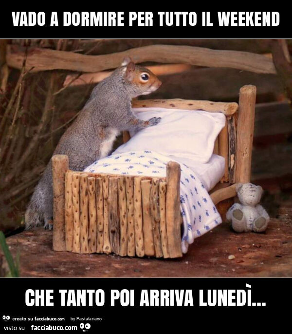 Vado a dormire per tutto il weekend che tanto poi arriva lunedì