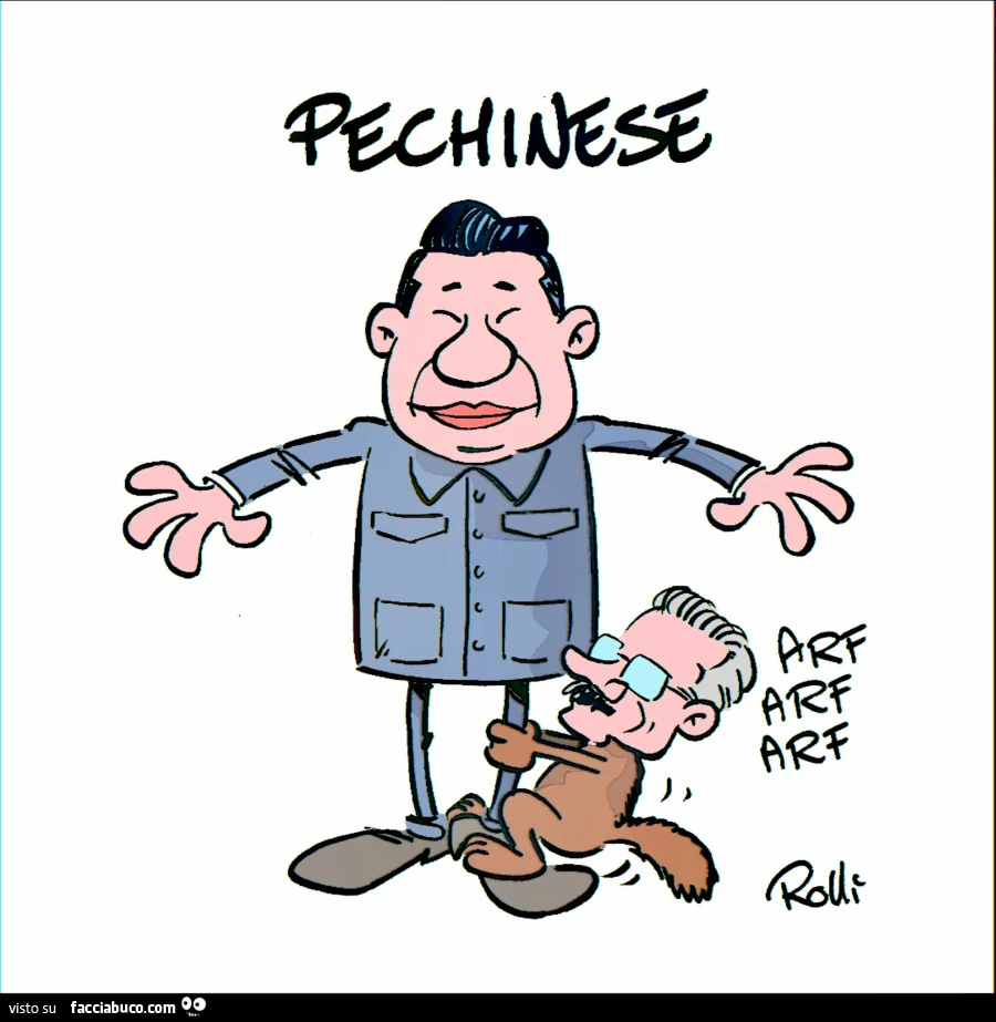 Pechinese D'alema