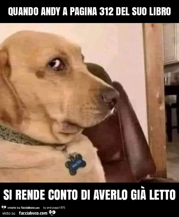 Quando andy a pagina 312 del suo libro si rende conto di averlo già letto