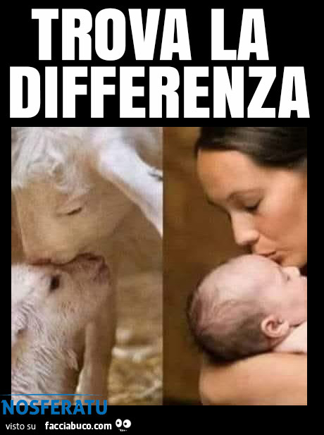 Abbiate pietà per chi ha una mamma