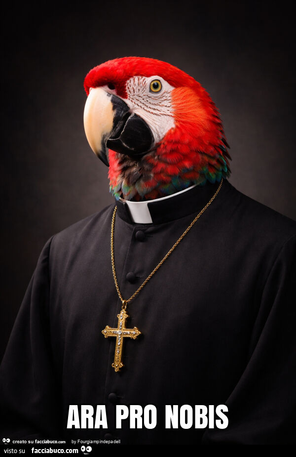 Ara pro nobis