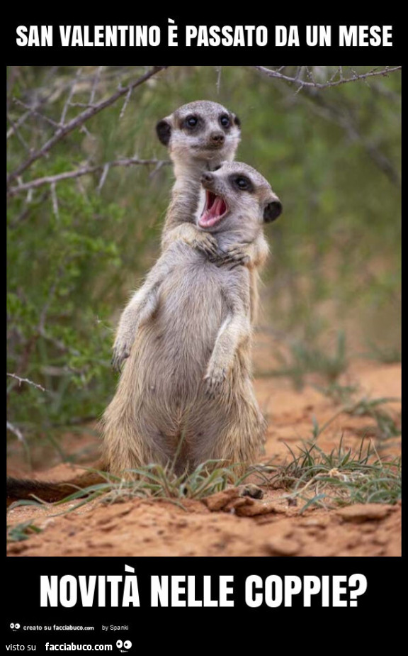 San valentino è passato da un mese novità nelle coppie?