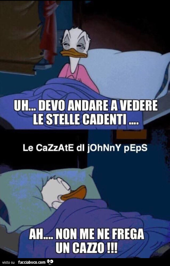Uh devo andare a vedere le stelle cadenti ah non me ne frega un cazzo paperino