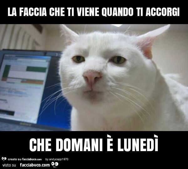 La faccia che ti viene quando ti accorgi che domani è lunedì