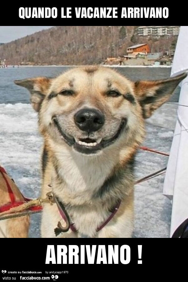 Quando le vacanze arrivano arrivano
