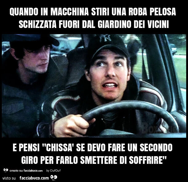 Quando in macchina stiri una roba pelosa schizzata fuori dal giardino dei vicini e pensi "chissà se devo fare un secondo giro per farlo smettere di soffrire"