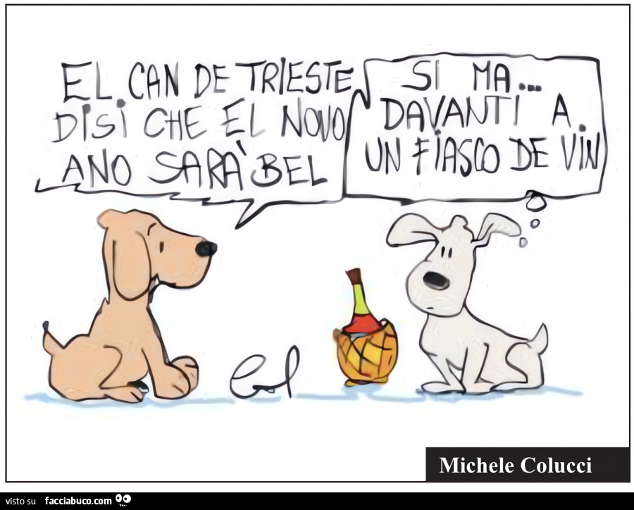 El can de trieste disi che el novo ano sarà bel