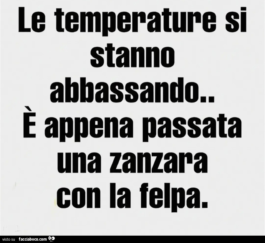 Zanzare