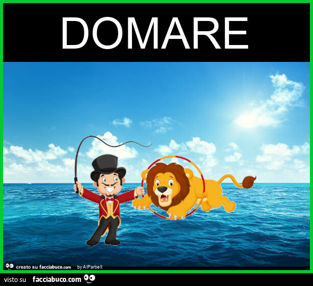 Domare