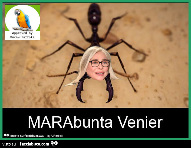 Marabunta venier
