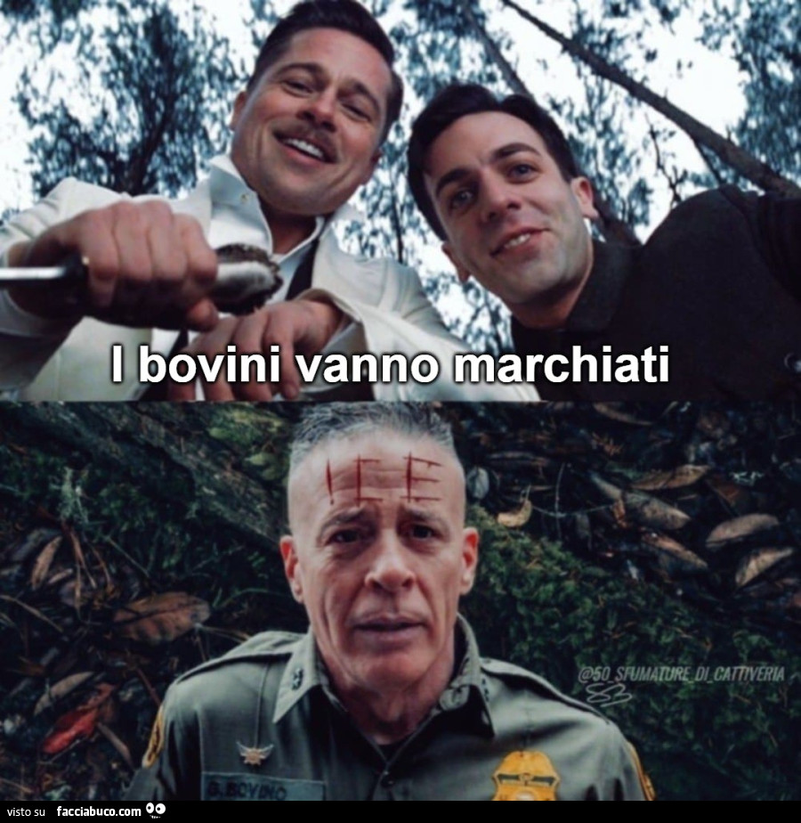 I bovini vanno marchiati