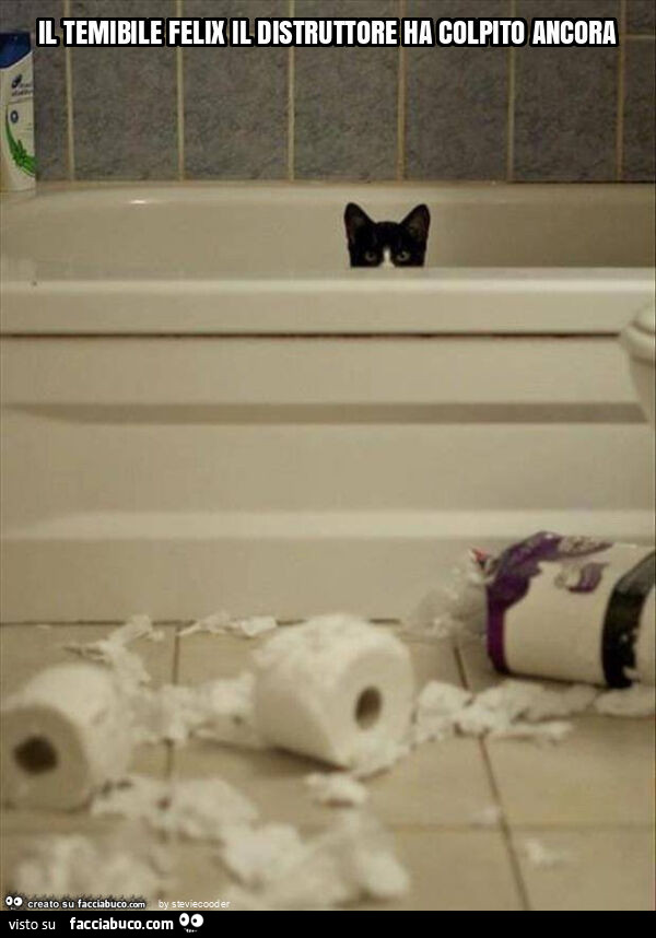 Il temibile felix il distruttore ha colpito ancora