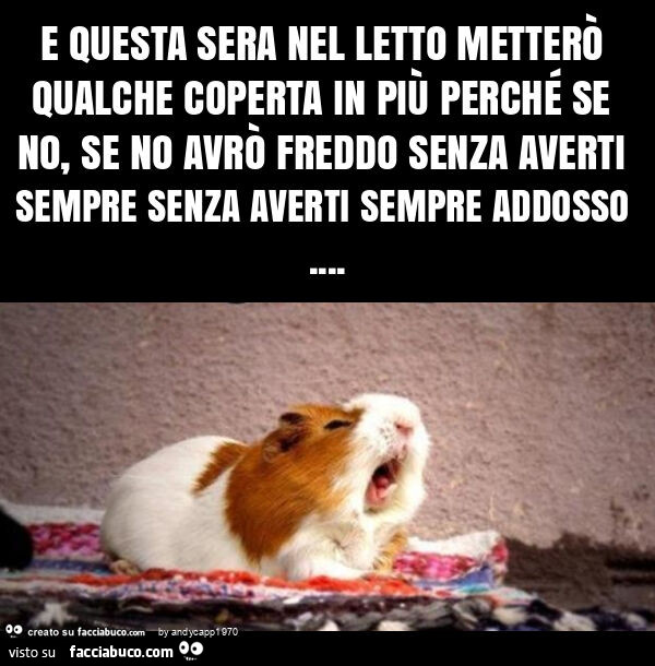 E questa sera nel letto metterò qualche coperta in più perché se no, se no avrò freddo senza averti sempre senza averti sempre addosso