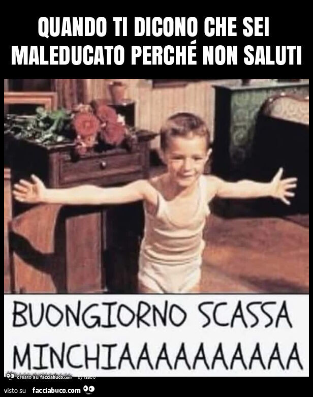 Quando ti dicono che sei maleducato perché non saluti buongiorno scassa minchia