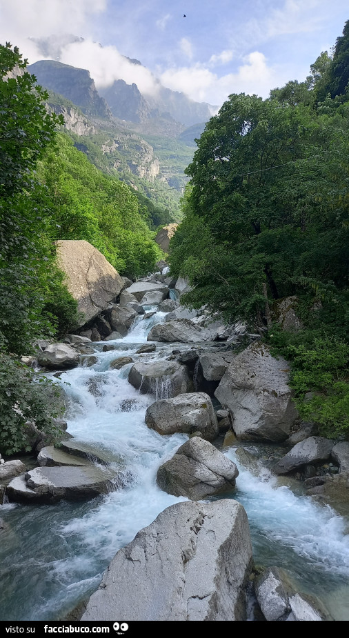 Racconti di vita reale