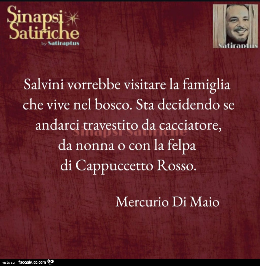 Salvini vorrebbe visitare la famiglia che vive nel bosco. Sta decidendo se andarci travestito da cacciatore, da nonna o con la felpa di cappuccetto rosso