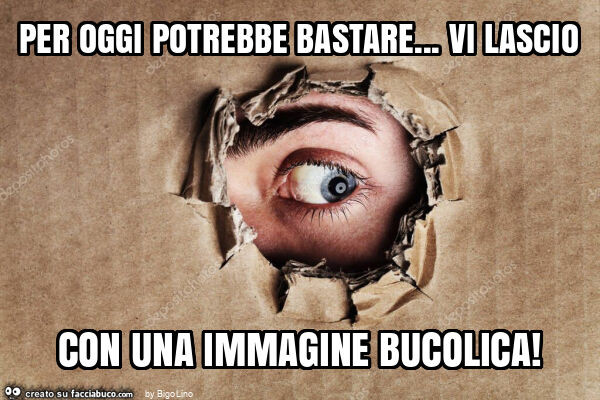 Per oggi potrebbe bastare… vi lascio con una immagine bucolica