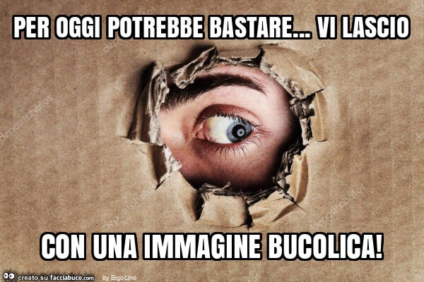 Per oggi potrebbe bastare&hellip; vi lascio con una immagine bucolica