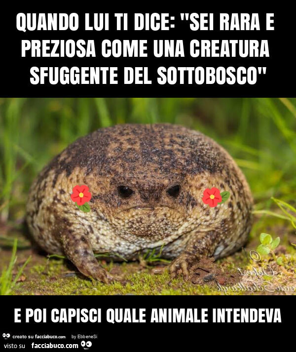 Quando lui ti dice: "sei rara e preziosa come una creatura sfuggente del sottobosco" e poi capisci quale animale intendeva