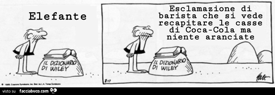 Elefante. Esclamazione di barista che si vede recapitare le casse di cocacola ma niente aranciate
