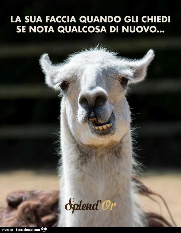 Qualcosa