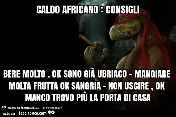 Caldo africano: consigli bere molto. Ok sono già ubriaco - mangiare molta frutta ok sangria - non uscire, ok manco trovo più la porta di casa