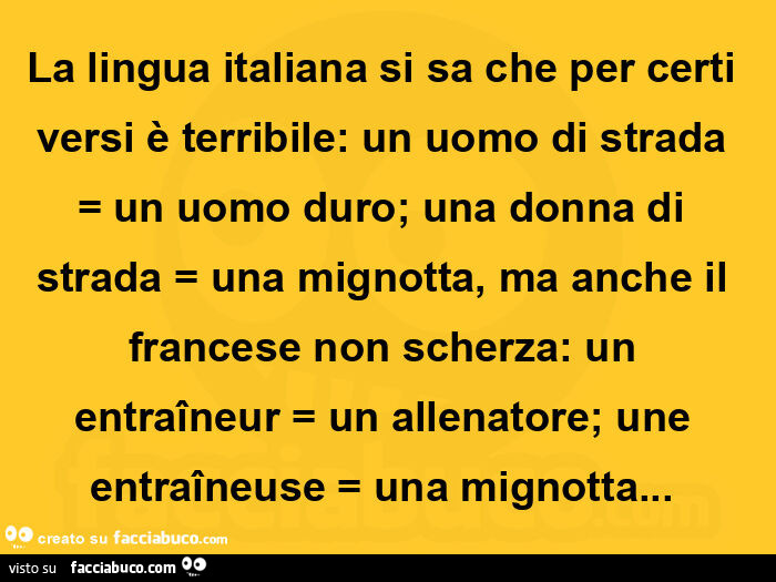 La lingua italiana si sa che per certi versi è terribile: un uomo di strada