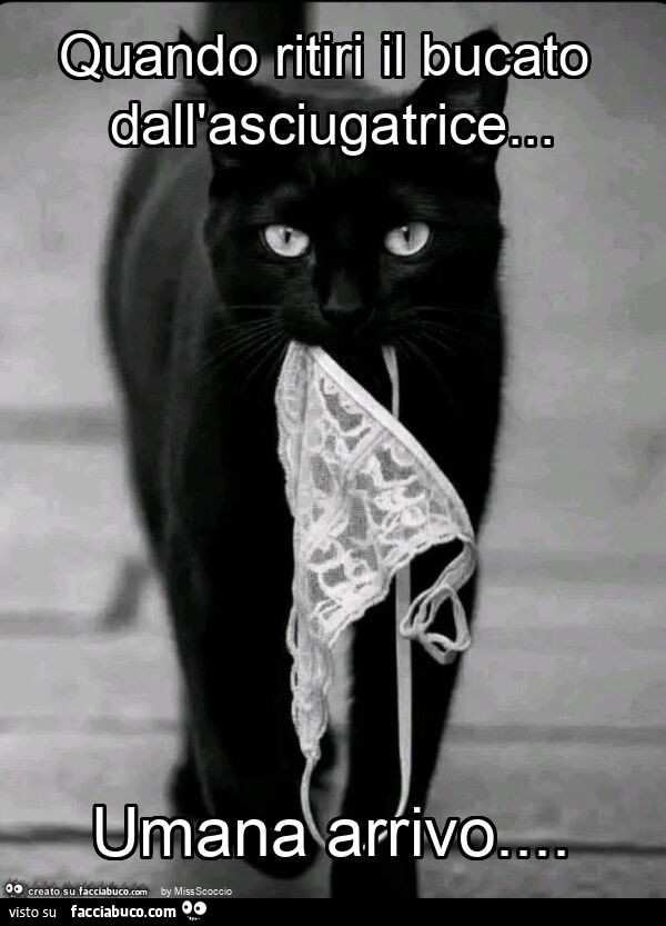 Quando ritiri il bucato dall'asciugatrice&hellip; umana arrivo
