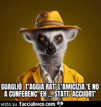 Vaccata