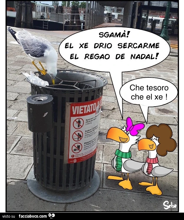 Vaccata