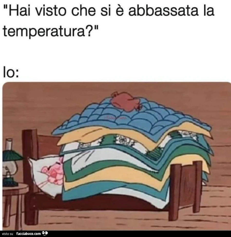 Vaccata