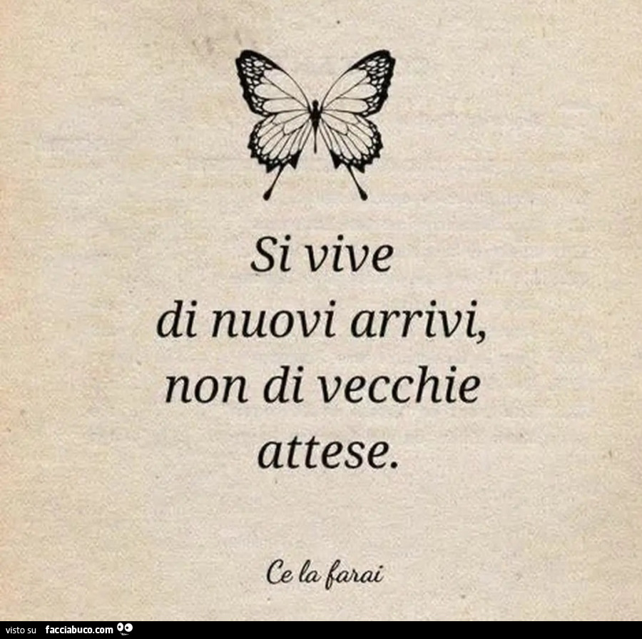 'Notte
