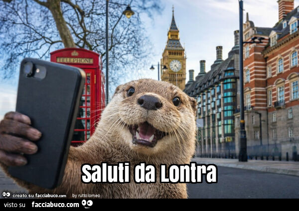 Saluti da lontra